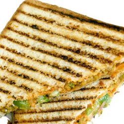 Veg Grilled Sandwich