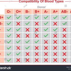 Blood Groups Matching