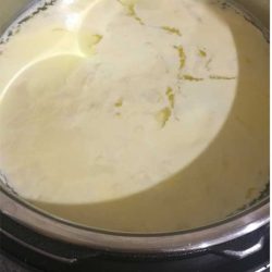 Curd In Instant Pot