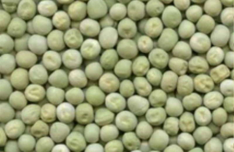 Hare Matar Green Peas