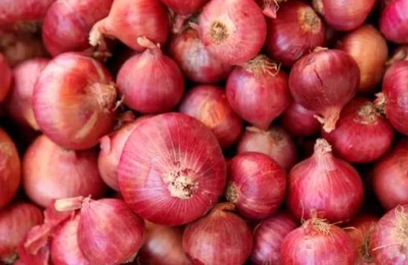 Onion Pyaz