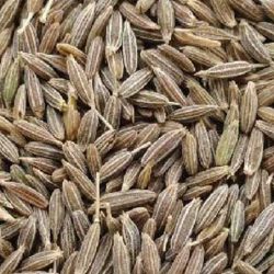 Cumin Seeds Jeera