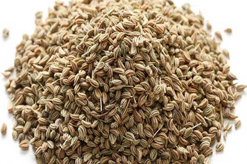 Ajwain carrom seeds