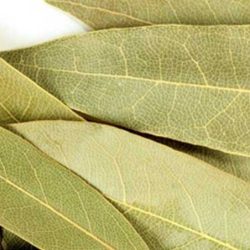 Bay Leaves Tejpatta