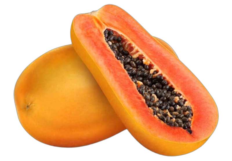 Papaya papita