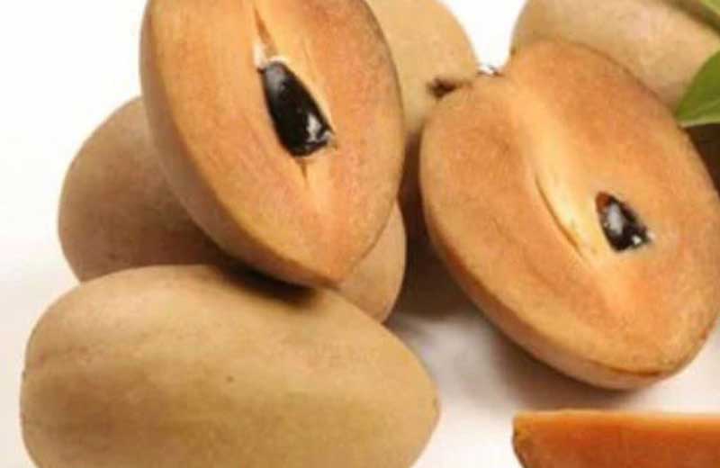 Sapodilla Chiku