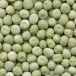 Hare Matar Green Peas