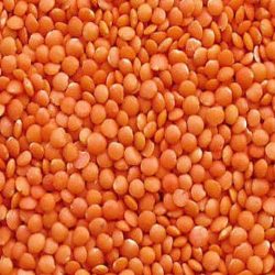 Masoor Dal Red Lentils