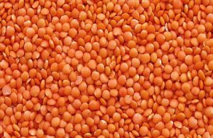 Masoor Dal Red Lentils