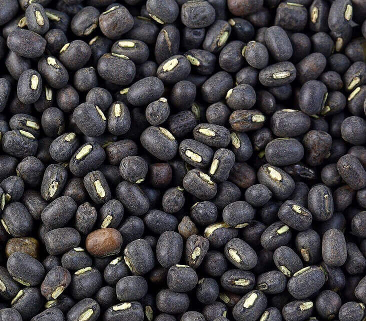 Urad Dal