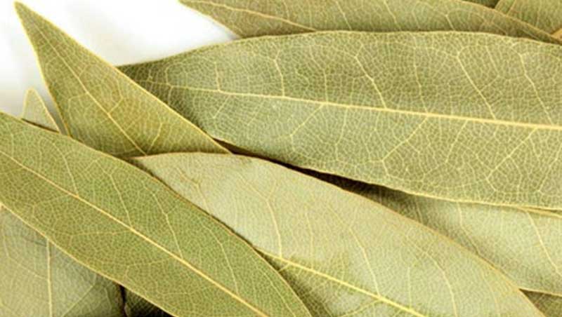 Bay Leaves Tejpatta