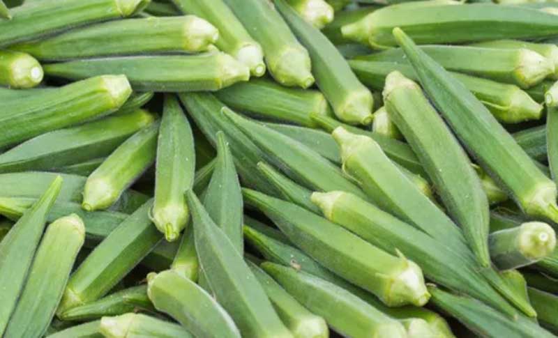 Lady Fingers Bhindi