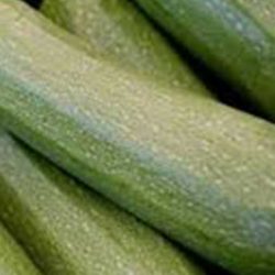 Zucchini