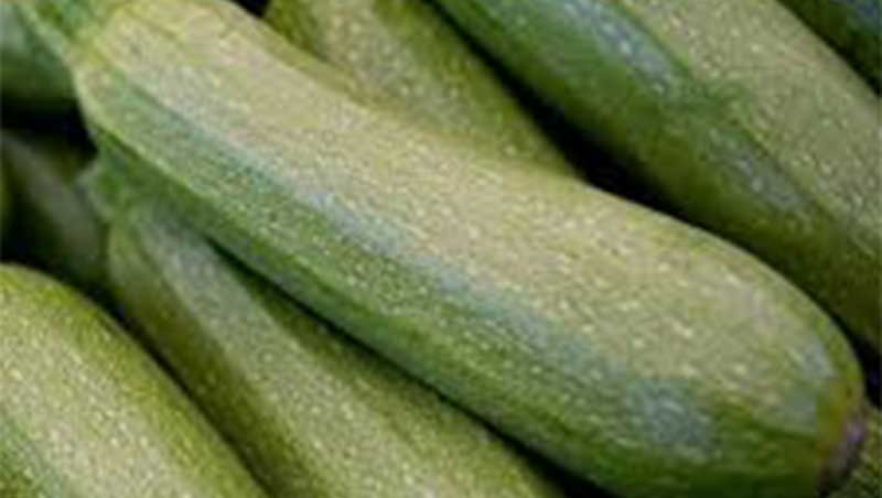 Zucchini