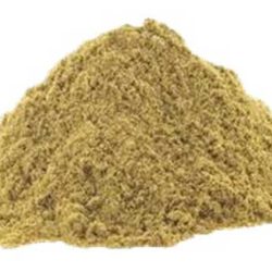 Coriander Powder