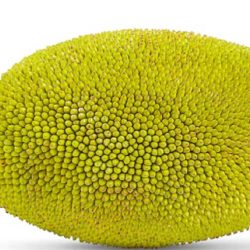 Jackfruit