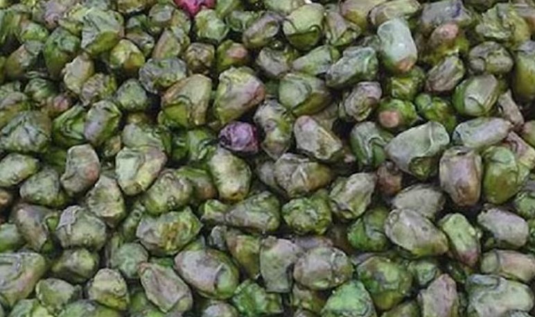 Water Chestnut सिंघाड़ा