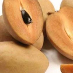 Sapodilla Chiku