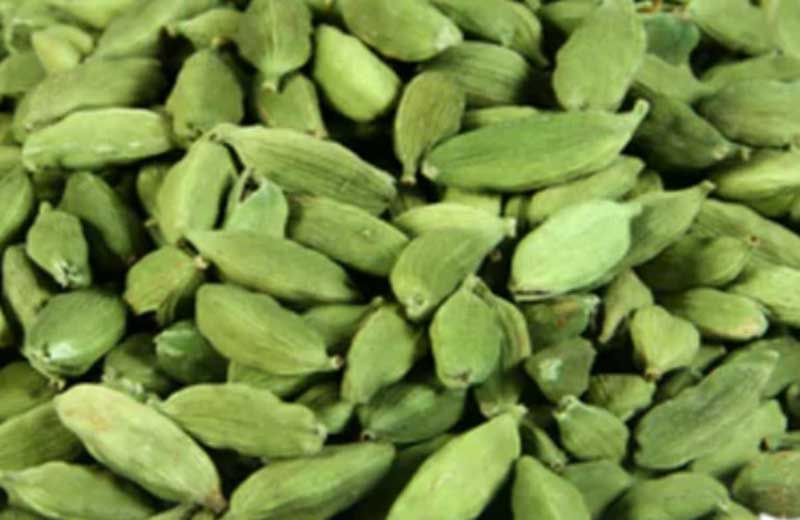 Cardamom Elaichi