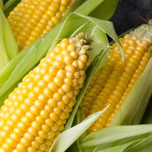 Corn