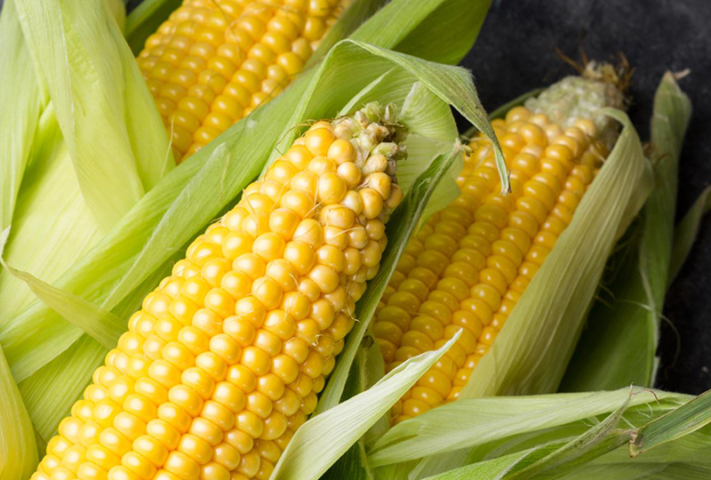 Corn